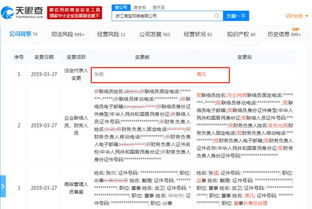 張勇卸任浙江淘寶網絡法人,85后蔣凡接任